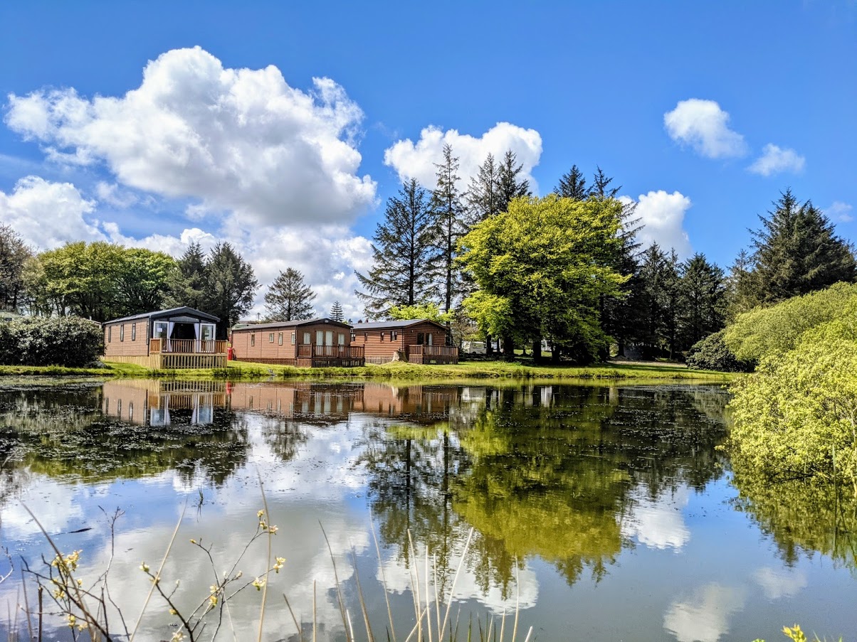 Rosebush Holiday Park — photo 5
